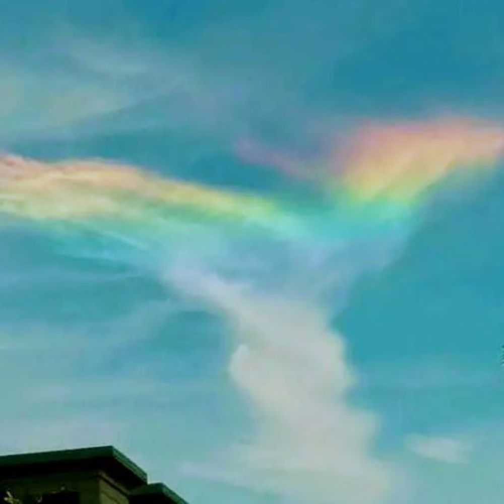 Meet your Posher, Jen